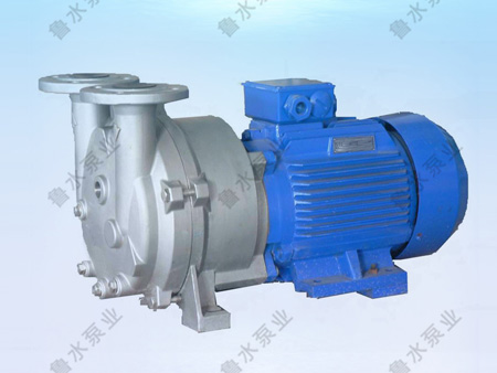 2BV水環(huan)式真空泵(beng)