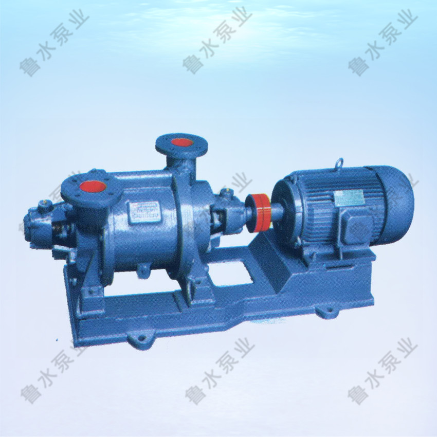 SZ系列水(shui)環式真(zhen)空泵
