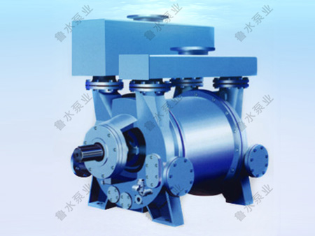 2BE系列(lie)水環式真(zhen)空泵